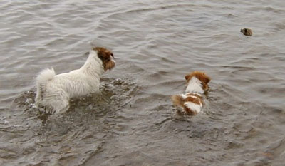 Vicki och Molly land juni 2003