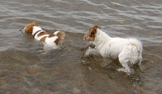 Vicki och Molly land juni 2003