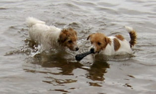 Vicki och Molly land juni 2003