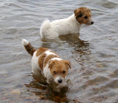 Vicki och Molly land juni 2003