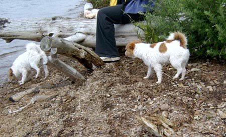 Vicki och Molly land juni 2003