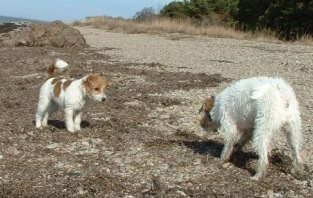 Vicki och Molly land 22 mars 2003