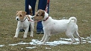 Vicki och Molly 12 april 2003