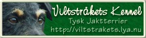 Viltstrkets Kennel